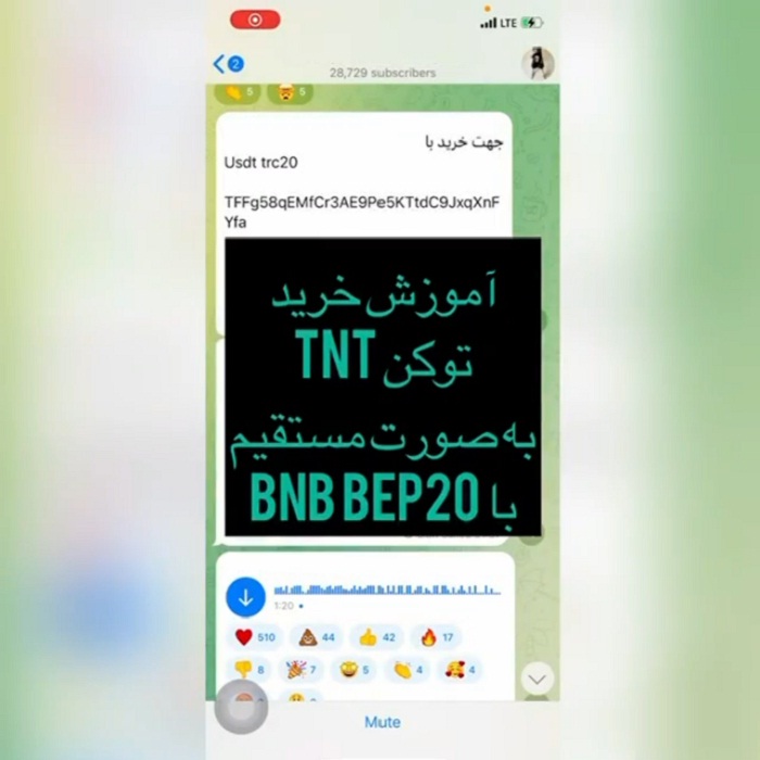 پیش فروش ارز دیجیتال امیر تتلو (TNT) آغاز شد + آموزش خرید پیش فروش ارز دیجیتال امیر تتلو (TNT) آغاز شد + آموزش خرید | دیلی 3