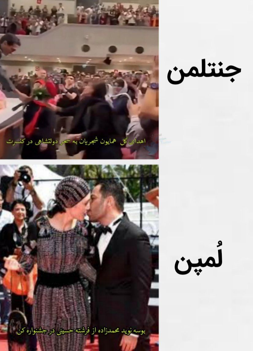 مثل «همایون شجریان» جنتلمن باشید نه مثل «نوید محمدزاده» لمپن! | دیلی 3