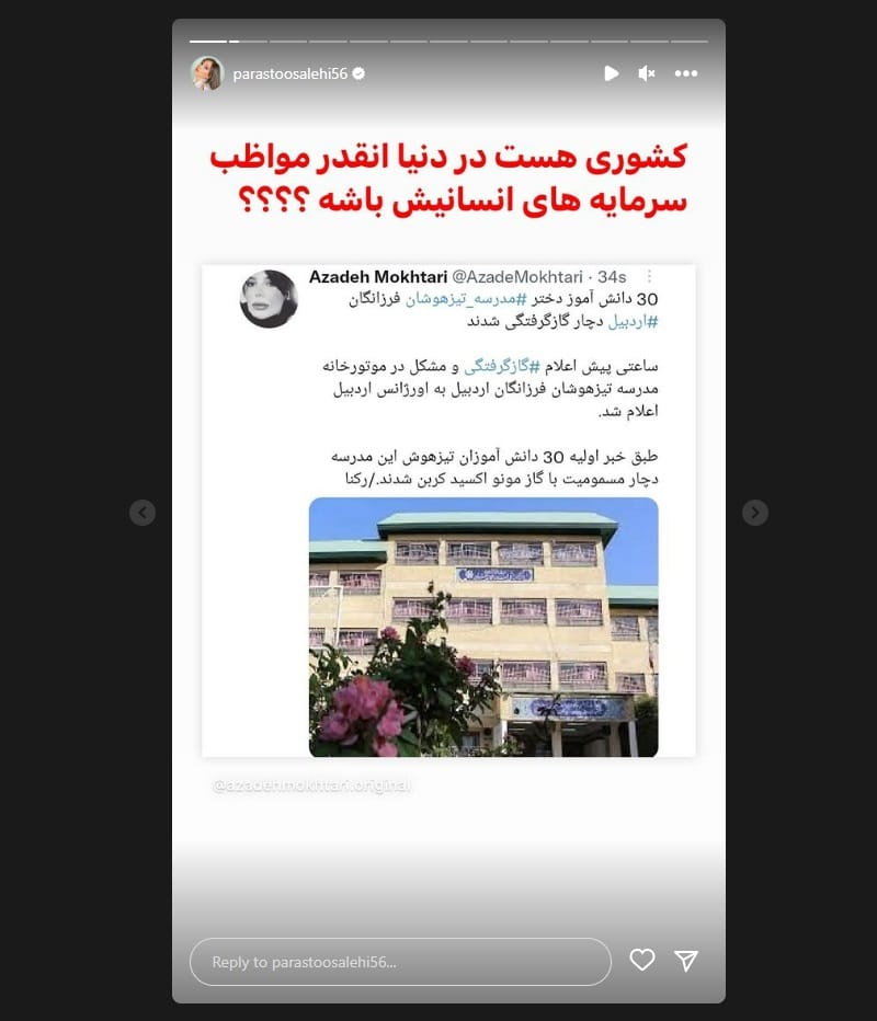 عکس| موج سواری پرستو صالحی بر حادثه گازگرفتگی مدرسه فرزانگان اردبیل | دیلی 3