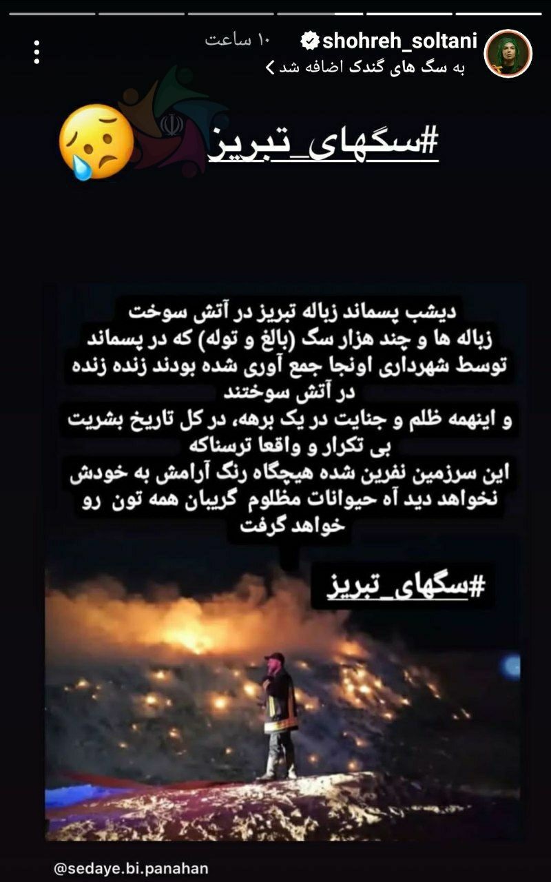 عکس| واکنش شهره سلطانی به سوختن سگ های تبریز در آتش سوزی | دیلی 3