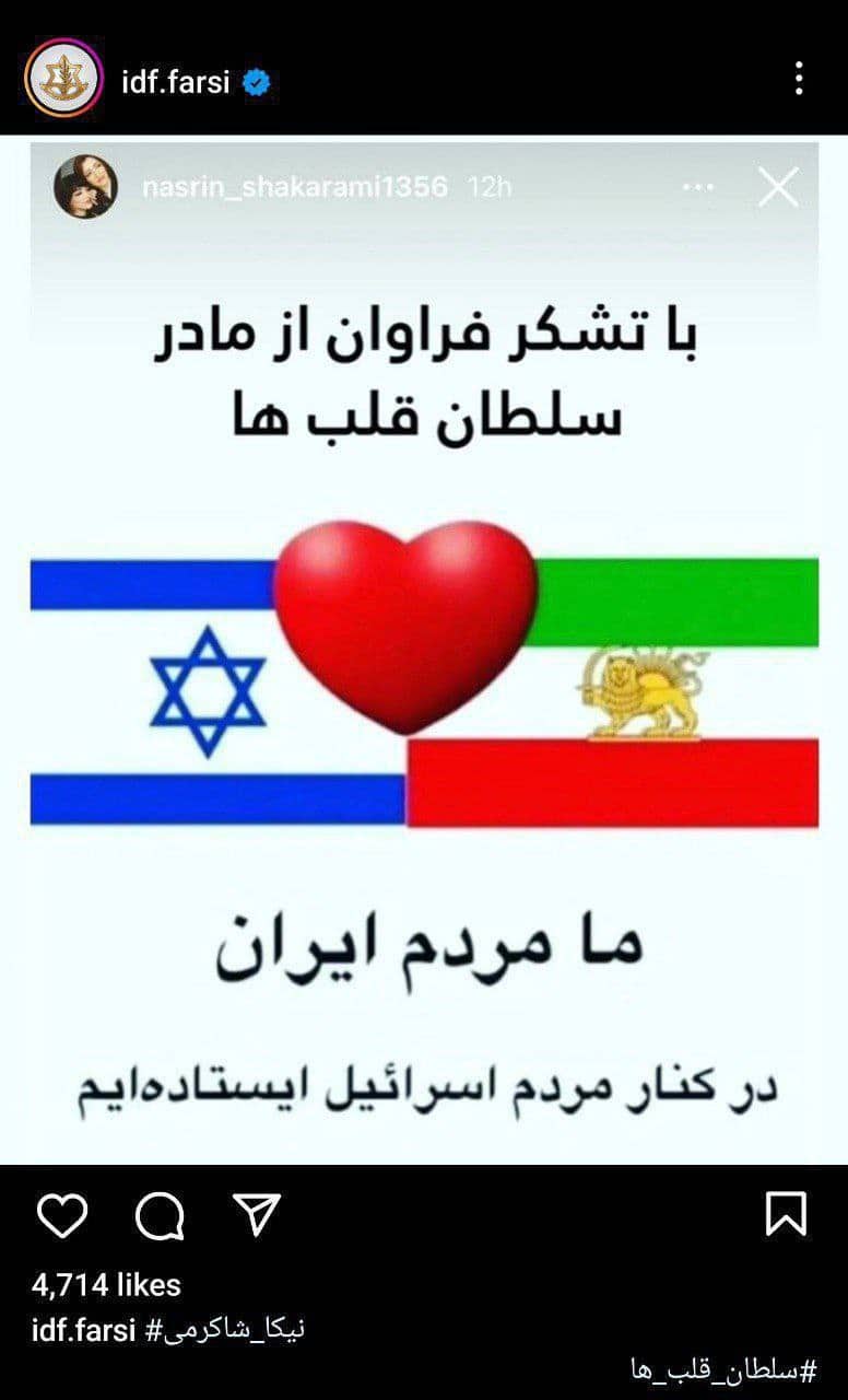 عکس| تشکر اسرائیل از مادر نیکا شاکرمی | دیلی 3