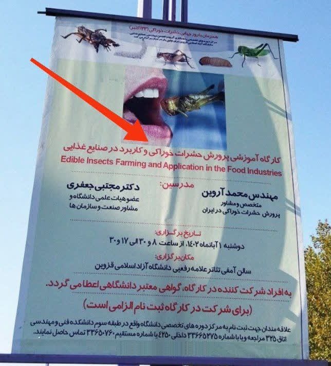 عکس| برگزاری کارگاه آموزش حرام خواری در دانشگاه آزاد | دیلی 3