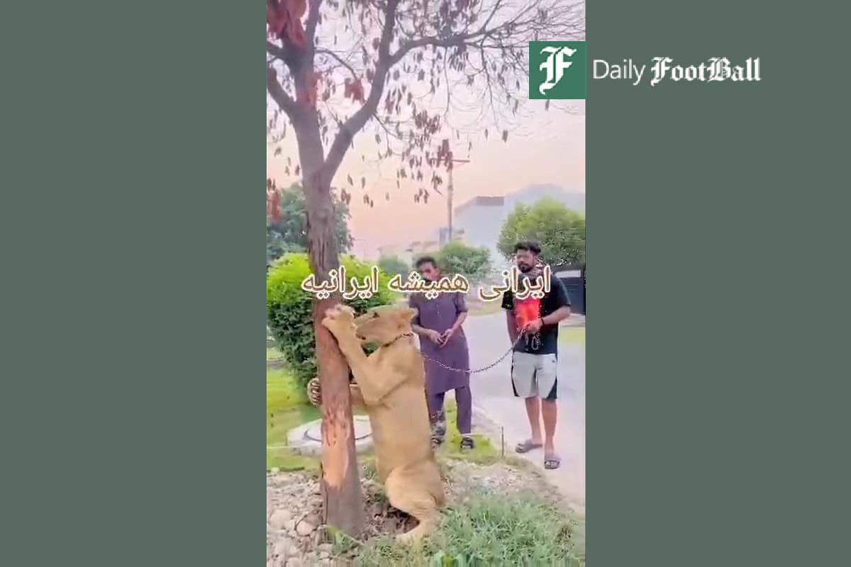 فیلم| پاسخ دندان شکن شیر ایرانی به توهین پیرمرد هندی به ایرانیان | دیلی 3