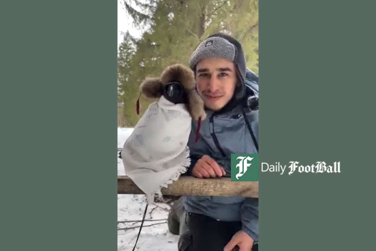 فیلم| مراقبت از غراب (بزرگترین کلاغ ایران) در برابر سرمای زمستان فیلم| مراقبت از غراب (بزرگترین کلاغ ایران) در برابر سرمای زمستان | دیلی 3