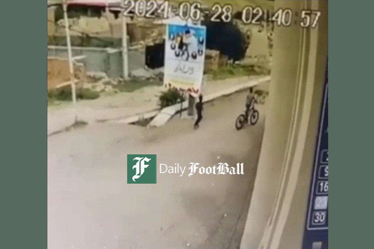 فیلم| حمله سگ های ولگرد به یک کودک روستایی در ورزقان فیلم| حمله سگ های ولگرد به یک کودک روستایی در ورزقان | دیلی 3