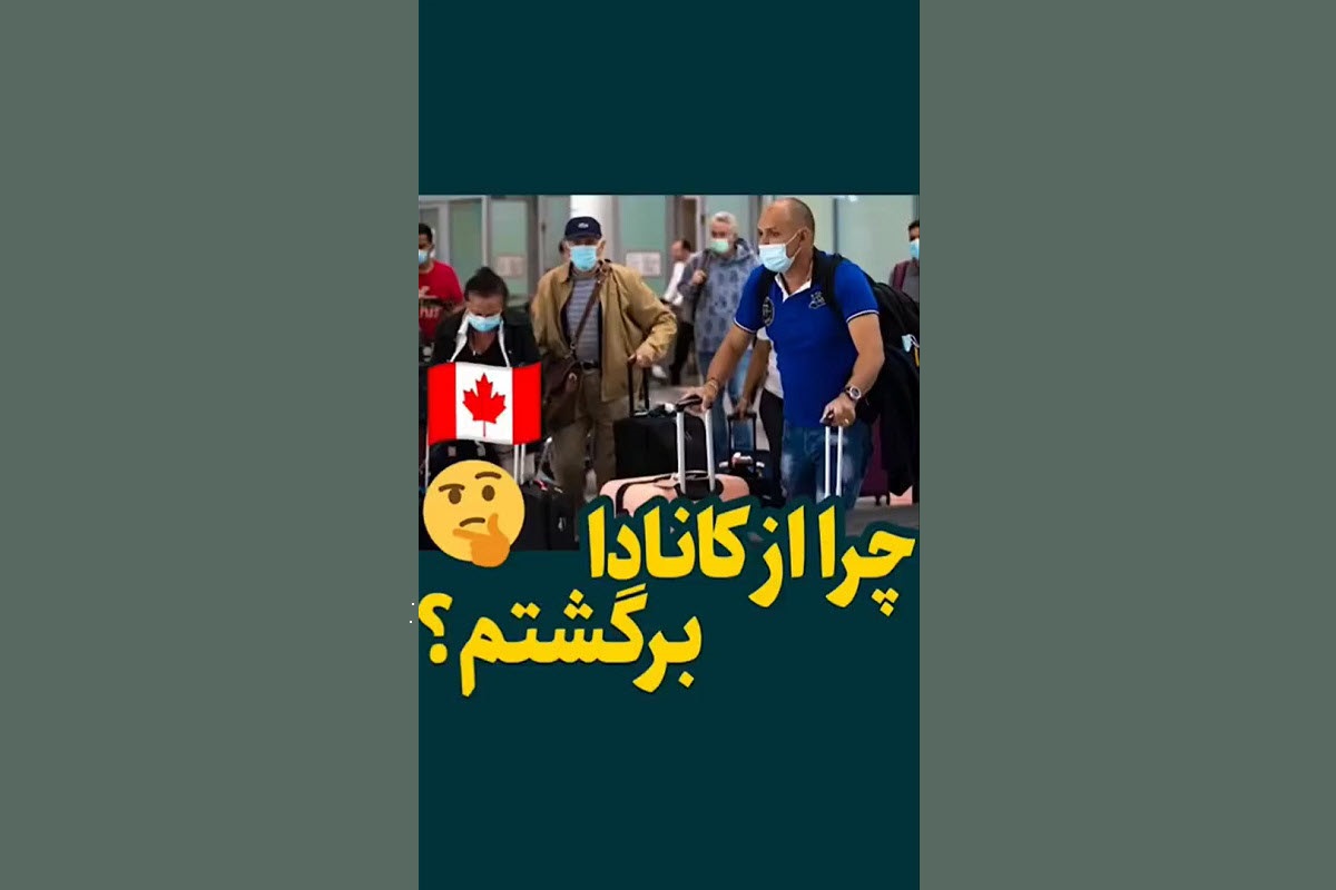 فیلم| چرا از کانادا برگشتم؟ | دیلی 3