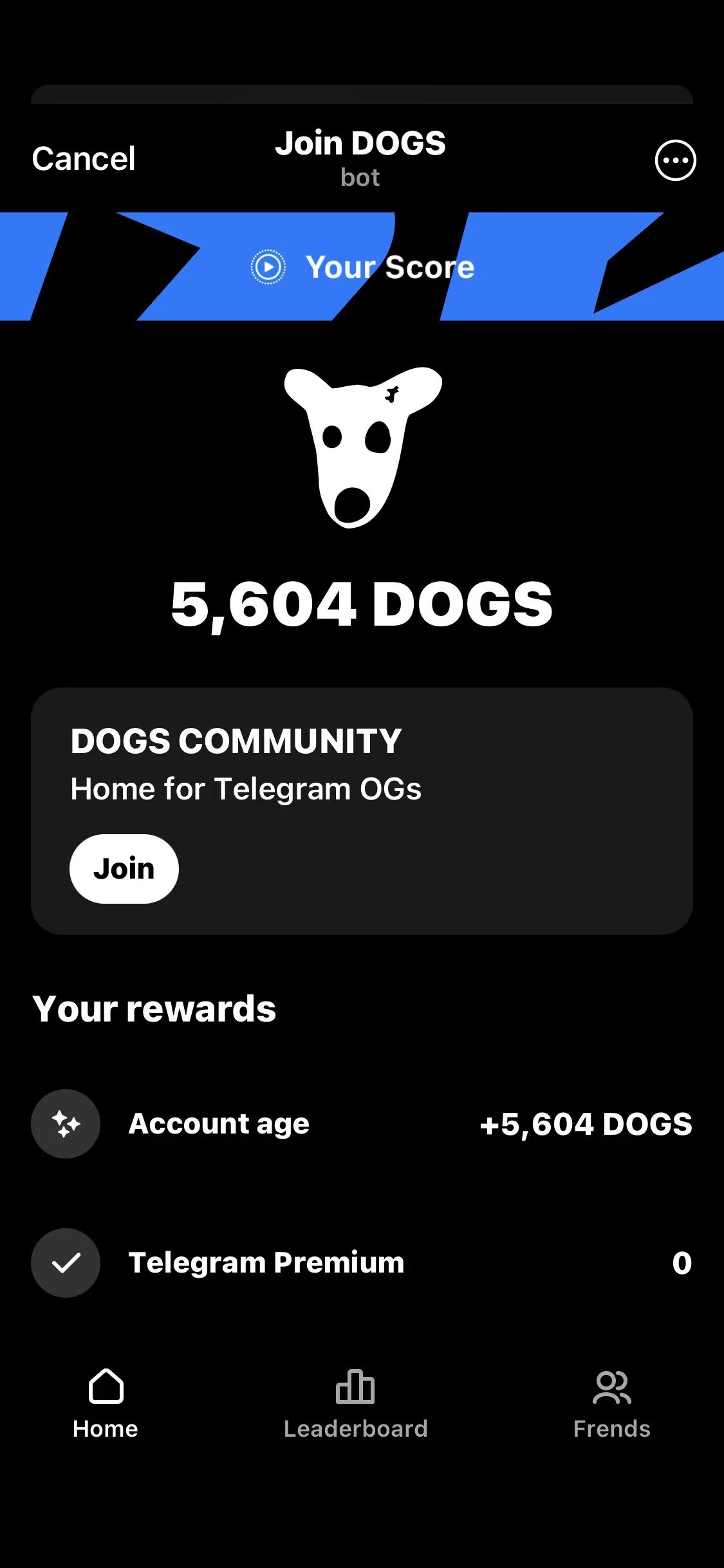 ایردراپ dogs چیست؛ لینک ربات ایر دراپ جدید تلگرام به همراه آموزش استخراج ارز | دیلی 3