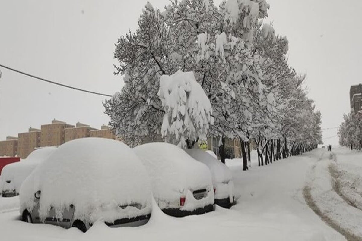 یخبندان گسترده در راه است | دیلی 3