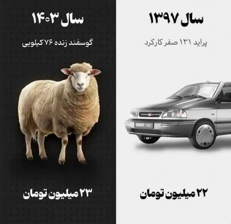 عکس| گوسفند هم قیمت پراید شد! | دیلی 3