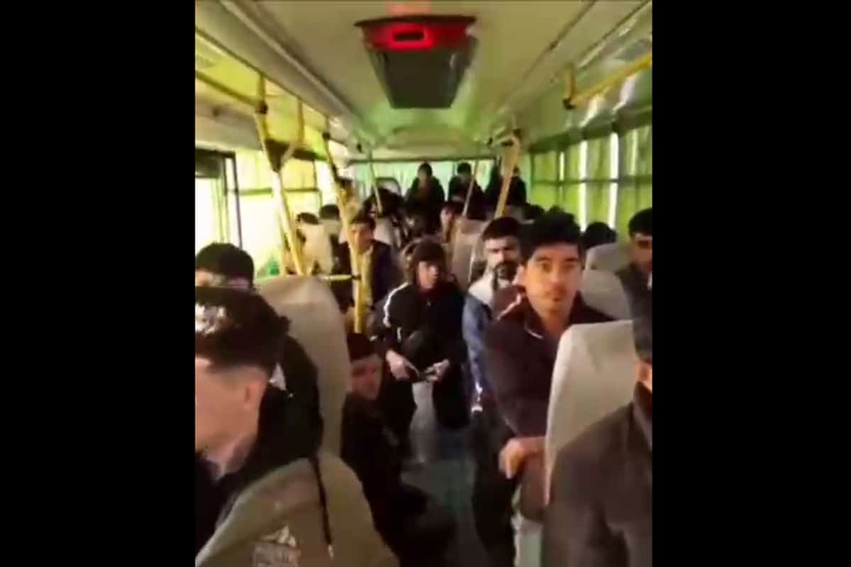 فیلم| جمع آوری و اخراج افغان های غیرمجاز از حومه تهران فیلم| جمع آوری و اخراج افغان های غیرمجاز از حومه تهران | دیلی 3