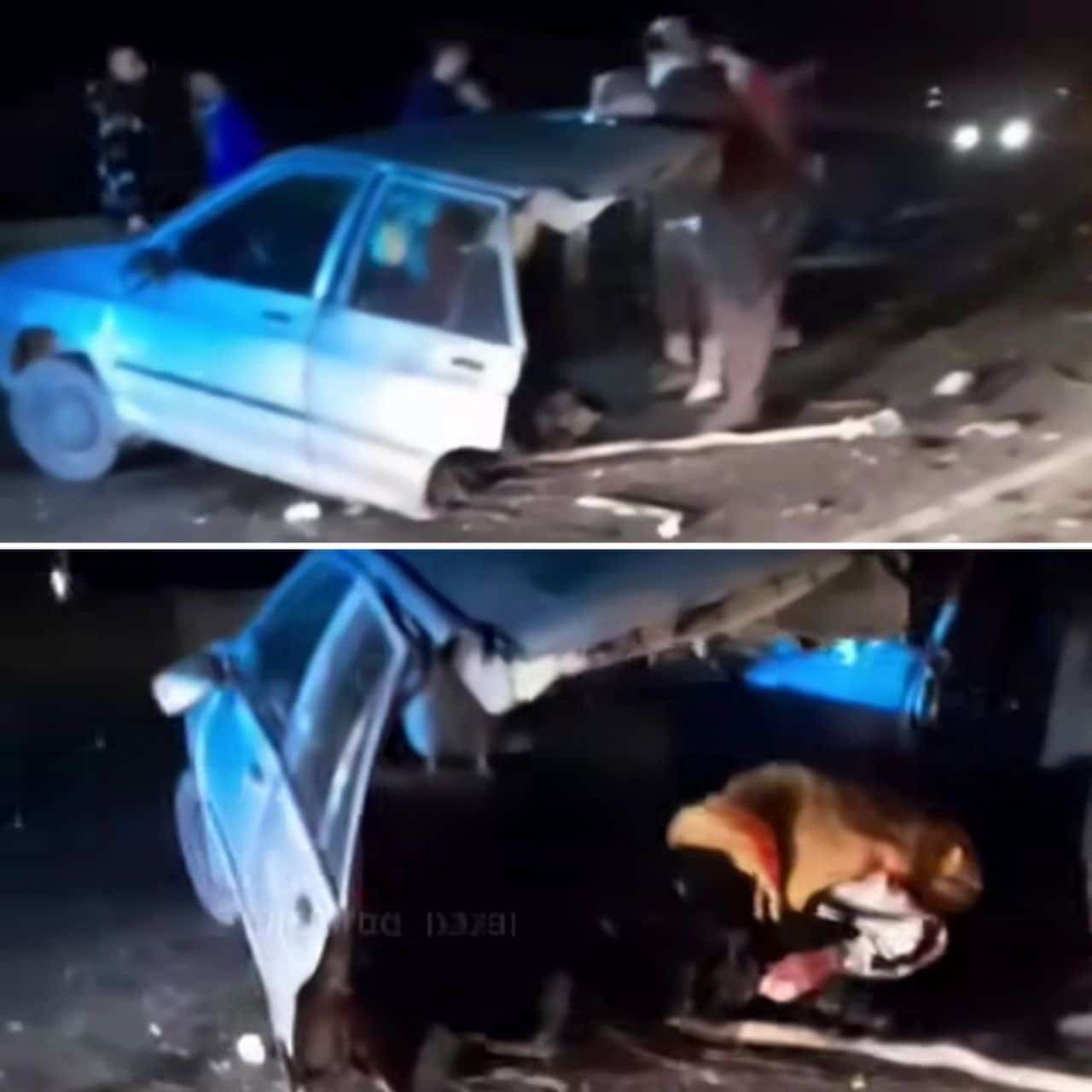 عکس| نصف شدن پراید پس از تصادف در لنگرود عکس| نصف شدن پراید پس از تصادف در لنگرود | دیلی 3