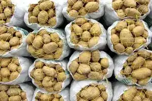 طرح دولت برای کنترل بازار سیب زمینی | دیلی 3