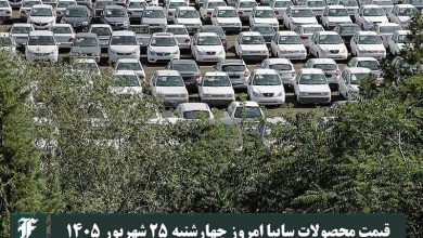 قیمت محصولات سایپا امروز چهارشنبه 25 شهریور 1405 | دیلی 3